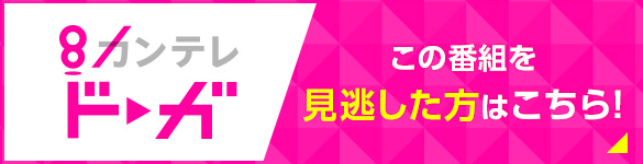 カンテレドーガ この番組を見逃した方はこちら！