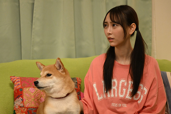 弓木奈於（乃木坂46）、柴犬