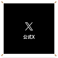 公式X